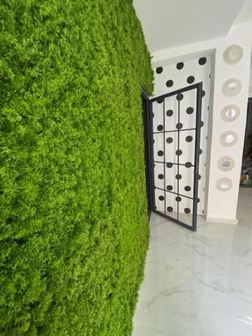 Suite 43 تيراسيني المظهر الخارجي الصورة